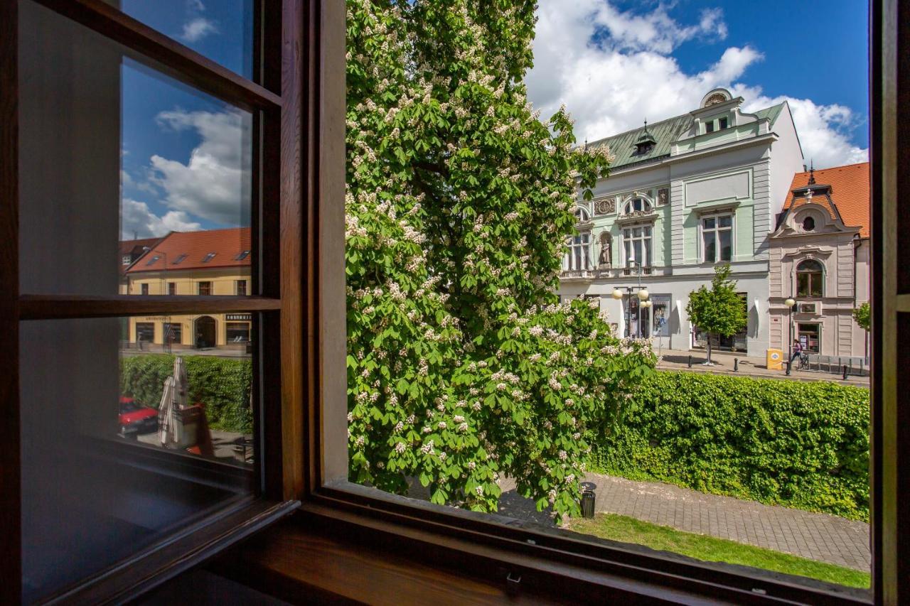 Castle Hotel & Wellness Poděbrady Exterior foto